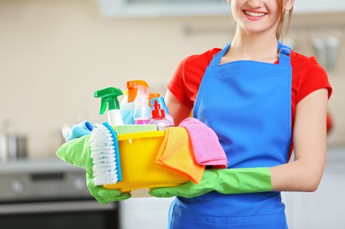 Regular cleaning service for a Streatham home interior