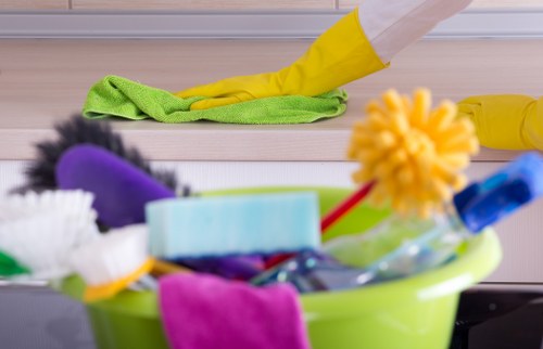 Office cleaner maintaining a professional workspace in Streatham