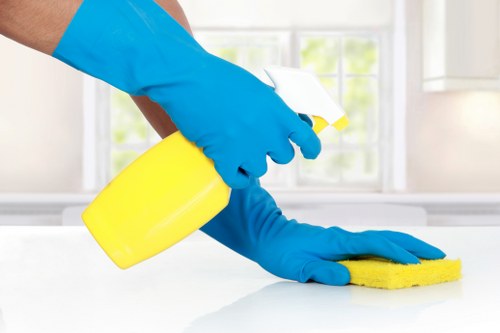 Local cleaner preparing a guest-ready flat in Streatham
