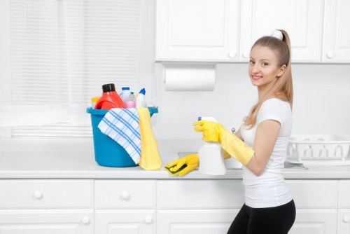 Regular home cleaning in a Streatham flat