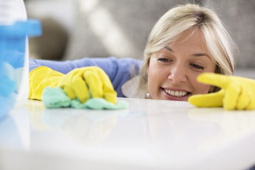 Upholstery cleaning for pet stains in Streatham