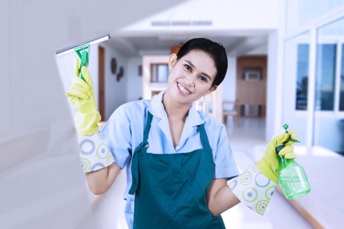 Professional cleaning of windows and frames on a Streatham property