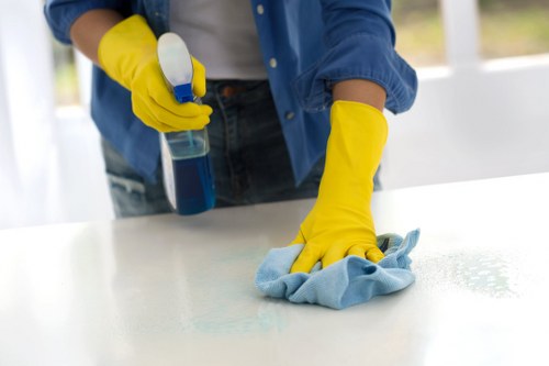 Local technician treating a spill on a sofa in Streatham home