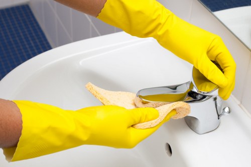 Streatham cleaners handling office cleaning tasks