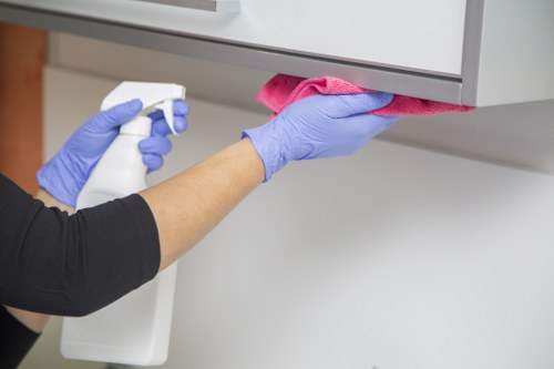 Local domestic cleaner working in a Streatham family bathroom